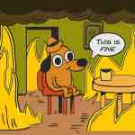 Cartoon dog in a burning room with the text "This is fine," humorously illustrating the risks of neglecting HIPAA compliance in IT systems.